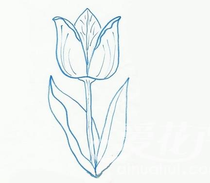 郁金香幼兒簡筆
