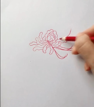 紅色彼岸花簡筆步驟
