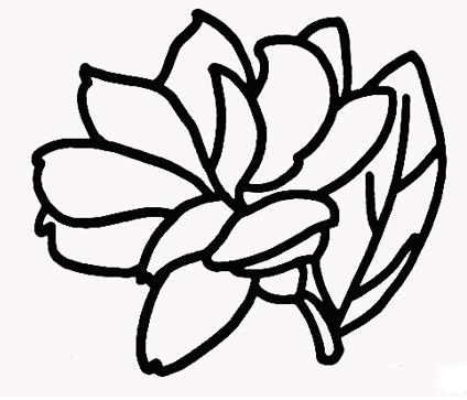茉莉花的花<a href=http://www.inspiredelm.com/jianbihua/ target=_blank class=infotextkey>簡(jiǎn)筆畫</a>步驟