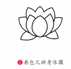 彩色荷花簡筆步驟