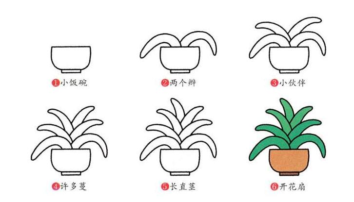 兒童植物簡筆畫，君子蘭簡筆畫
