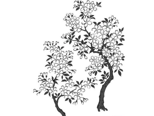 櫻花植物簡筆
