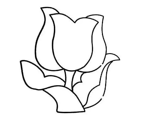 郁金香植物簡筆