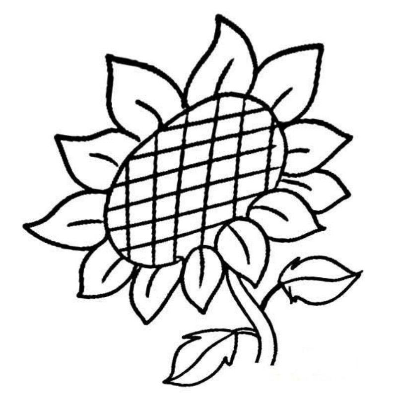 簡單向日葵簡筆畫