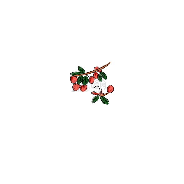 小學(xué)生畫(huà)美味的荔枝要怎么畫(huà)？
