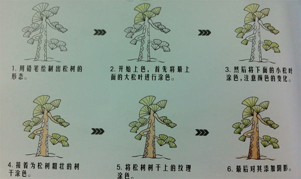 松樹(shù)植物簡(jiǎn)筆