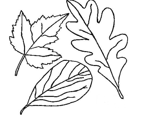 秋天的落葉簡(jiǎn)筆