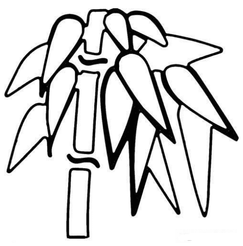 翠色欲滴的竹子簡筆