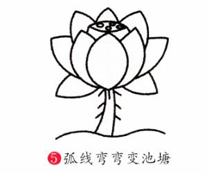 彩色荷花簡筆步驟