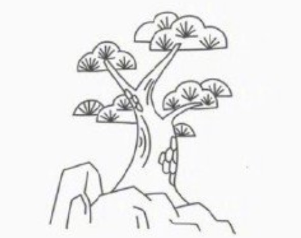松樹簡(jiǎn)筆畫畫法步驟教程