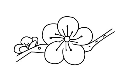 梅花的花瓣簡(jiǎn)筆畫(huà)