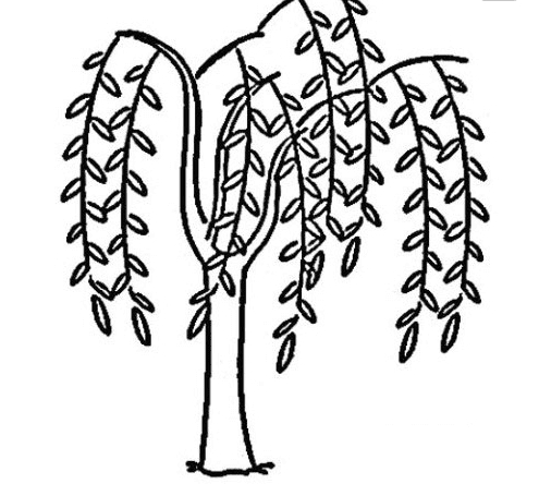 柳樹植物兒童簡筆畫