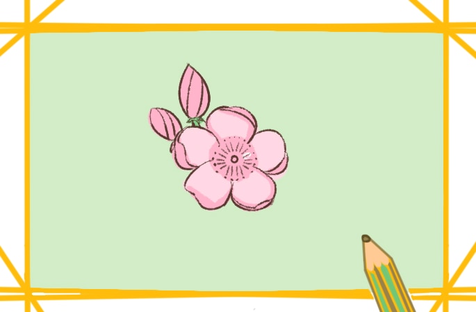 漂亮的粉色櫻花<a href=http://www.inspiredelm.com/jianbihua/ target=_blank class=infotextkey>簡筆畫</a>圖片怎么畫