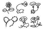 漂亮花朵的簡(jiǎn)筆畫(huà)圖片大全
