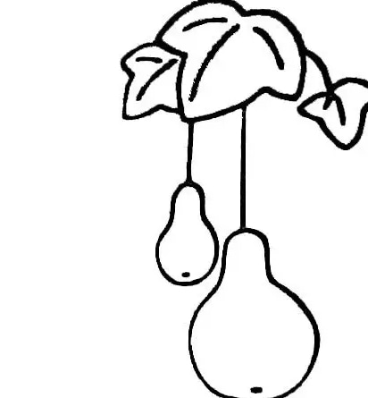簡單的葫蘆植物簡筆