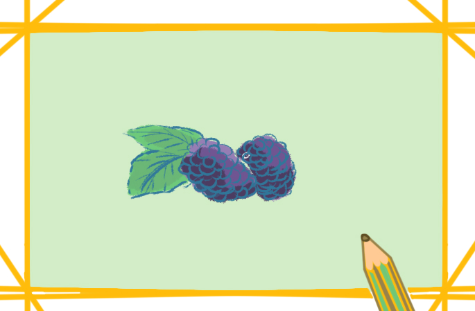 簡單的桑葚<a href=http://www.inspiredelm.com/jianbihua/ target=_blank class=infotextkey>簡筆畫</a>圖片怎么畫