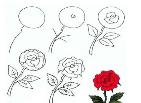 5種簡單玫瑰花簡筆 畫法