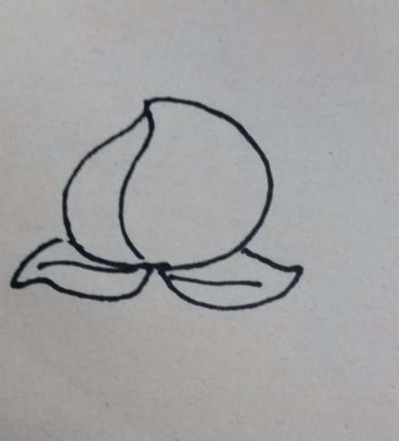 桃子<a href=http://www.inspiredelm.com/jianbihua/ target=_blank class=infotextkey>簡筆畫</a>步驟