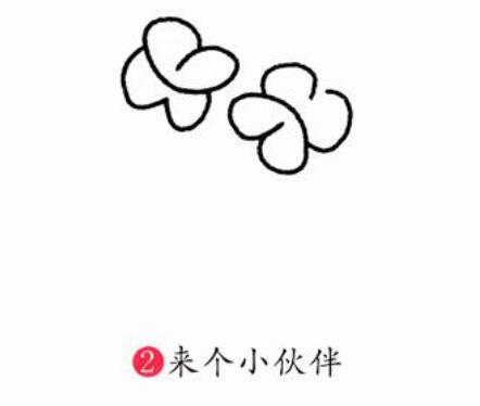 蝴蝶蘭簡筆簡易步驟