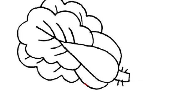 多種常見蔬菜簡筆