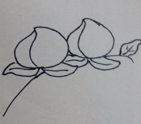 桃子<a href=http://www.inspiredelm.com/jianbihua/ target=_blank class=infotextkey>簡筆畫</a>步驟
