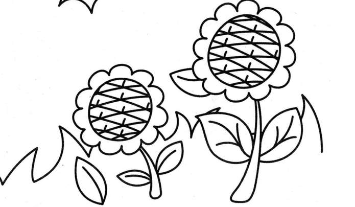 太陽(yáng)花兒童簡(jiǎn)筆