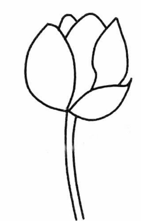簡單的蓮花簡筆