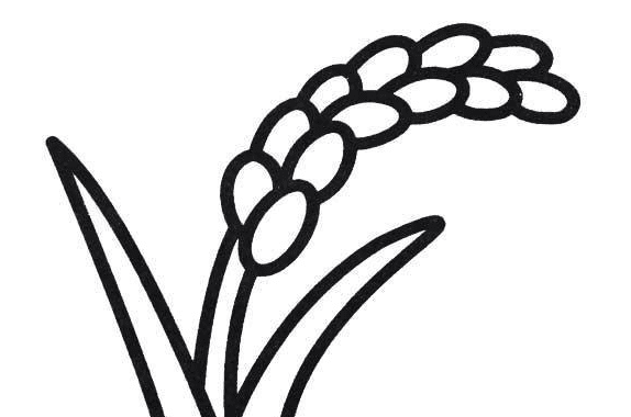 秋天農(nóng)作物簡(jiǎn)筆