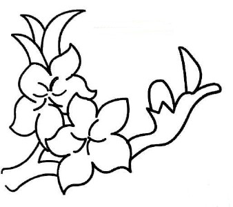 桃花植物簡筆
