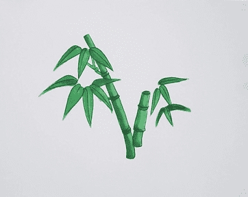 綠色竹子簡筆畫步驟