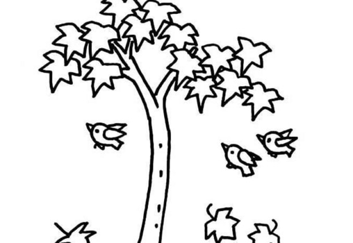 簡(jiǎn)單漂亮的楓樹簡(jiǎn)筆