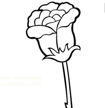 姿態(tài)萬(wàn)千的玫瑰花簡(jiǎn)筆