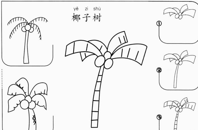 8種椰子樹(shù)簡(jiǎn)筆 畫(huà)法