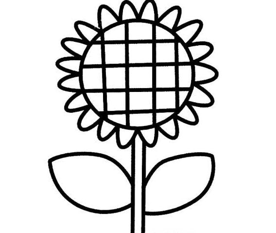 漂亮的太陽(yáng)花簡(jiǎn)筆