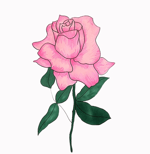 月季花簡(jiǎn)筆畫(huà)畫(huà)法步驟教程