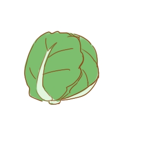 美味的包菜簡筆畫怎么畫？