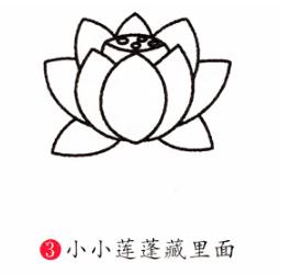 彩色荷花簡筆步驟