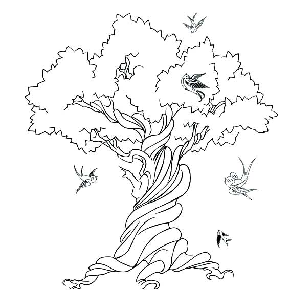 大樹(shù)和小鳥(niǎo)簡(jiǎn)筆畫