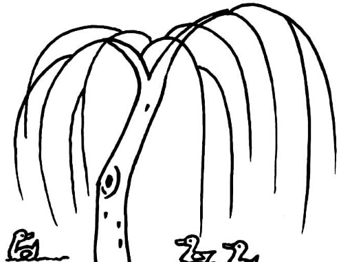 柳樹植物簡筆圖片