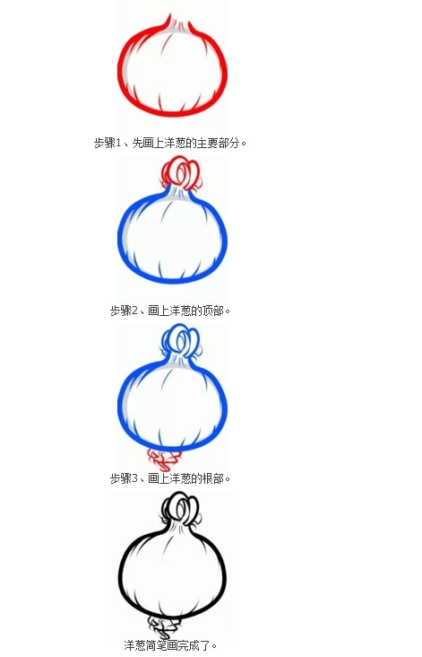 4種洋蔥簡筆 畫法