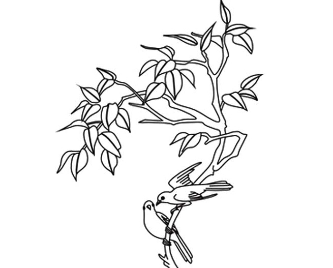 大樹和小鳥簡筆