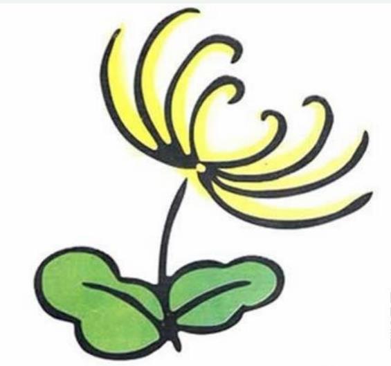 菊花植物簡(jiǎn)筆畫(huà)菊花植物簡(jiǎn)筆畫(huà)