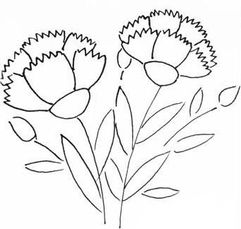 簡(jiǎn)單好看的康乃馨簡(jiǎn)筆畫