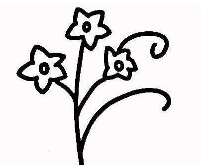 凌波仙子水仙花<a href=http://www.inspiredelm.com/jianbihua/ target=_blank class=infotextkey>簡筆畫</a>圖片