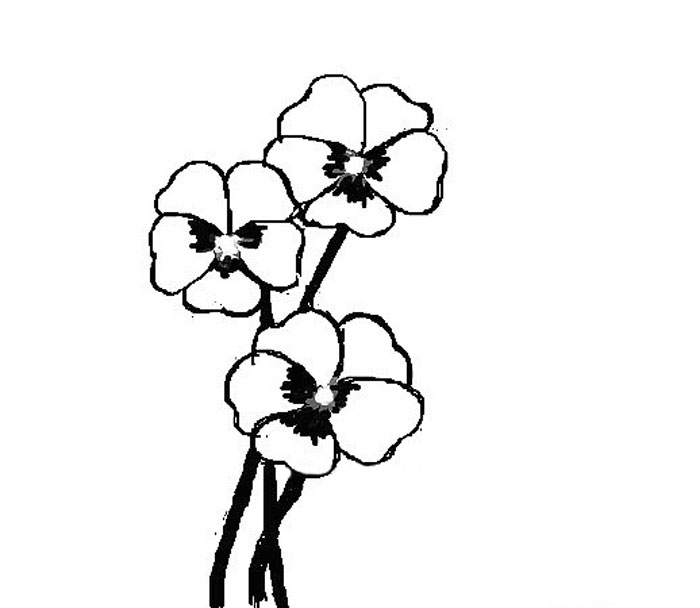 三色堇簡筆畫怎么畫？