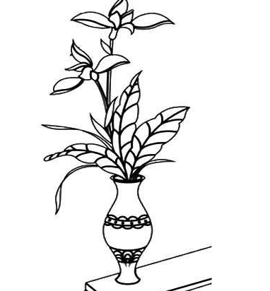 花瓶里的花植物簡(jiǎn)筆