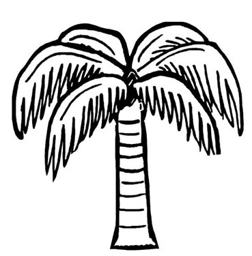 椰子樹幼兒植物簡筆