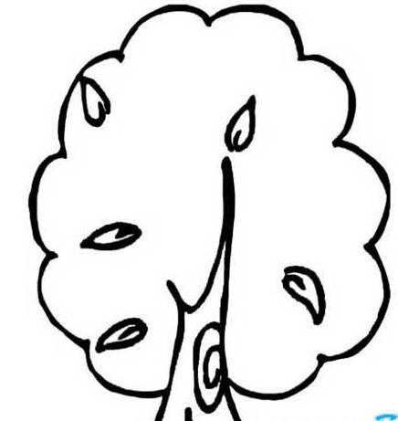 各種各樣的大樹簡筆