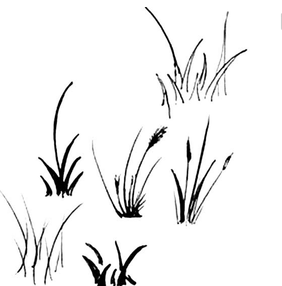 簡(jiǎn)單好看的小草簡(jiǎn)筆