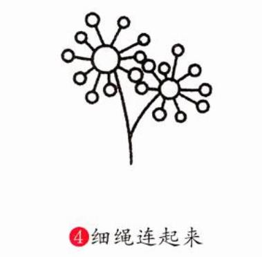 蒲公英簡筆簡易教程